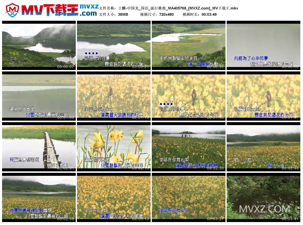王麟-中国龙_国语_流行歌曲_MA405768